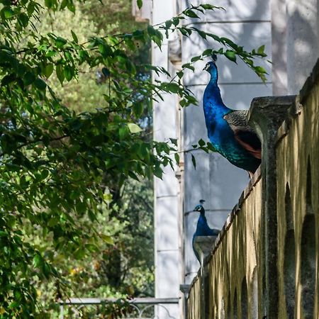 リスボンCasas Da Tapadaアパートメント エクステリア 写真
